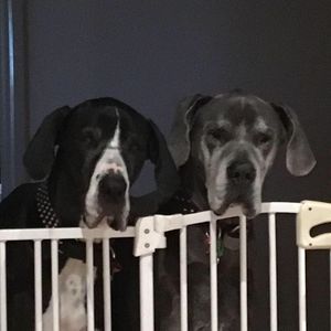 Full_24068157_1786535154698727_3358951860218136963_n