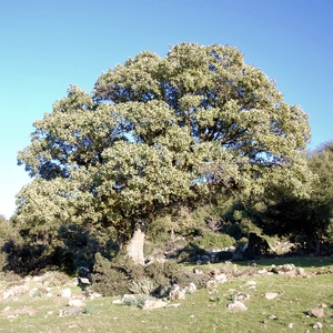 Full_fullsizeoutput_c29