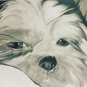 Full_26219856_10215220970667531_8564197625526875512_n