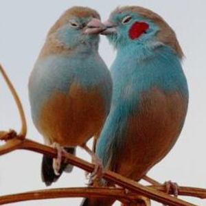 Full_1016272_429452467151931_596808470_n